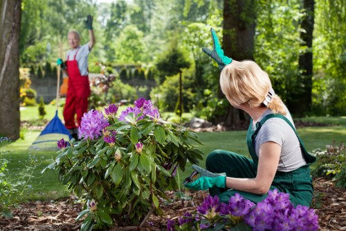 Professional lawn mowing service in Enfield