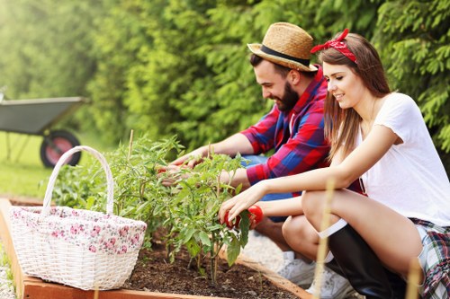 Professionals performing garden clearance in Enfield
