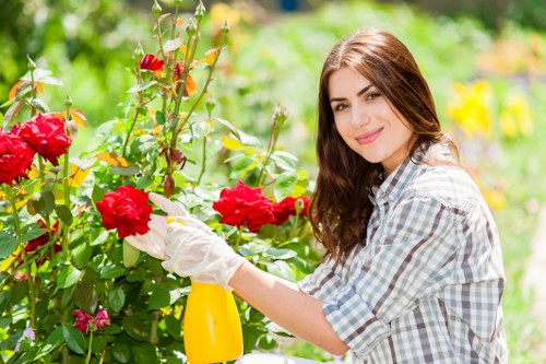 Professional landscape gardener working on a garden design in Enfield