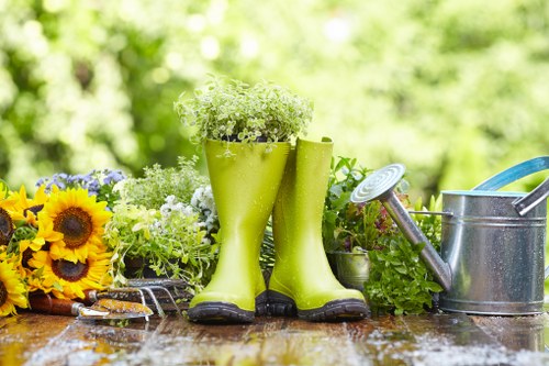 Eco-friendly tree removal and debris cleanup process